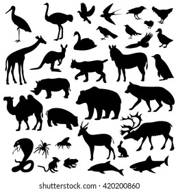 animals icons on white background,vector illustration