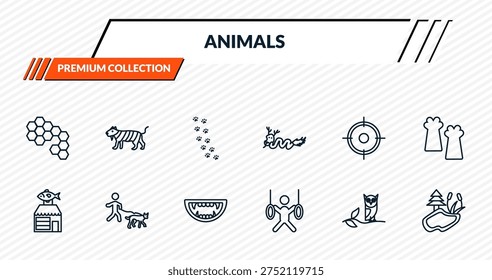 animals icons set - bee hive, smilodon, pawprints, walking dog, pond outline vector collection.