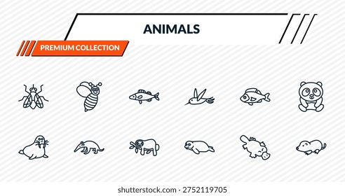 animals icons set - fly, wasp, zander, ant eater, mole outline vector collection.