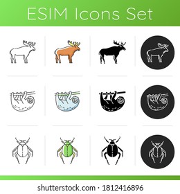 Animals icons set. Linear, black and RGB color styles. Different wildlife, diverse fauna. Common and exotic animal species. Scarab beetle, moose and sloth. Isolated vector illustrations