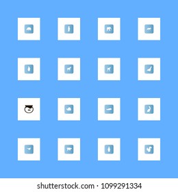 Animals icons set. whale, predator, squirrel and arctic