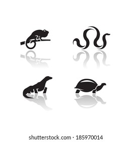 Animals icons. Vector format