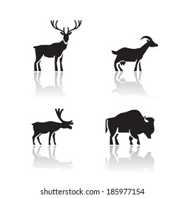 Animals icons. Vector format