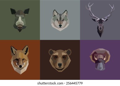 Animals illustration