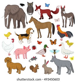 Animals Illustration Set
