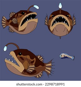 Ilustración de animales, conjunto de dibujos vectoriales de peces anglófilos