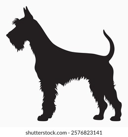 Animals Illustrationd Art Set Silhouette