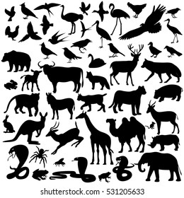 animals ,image animals ,vector illustration