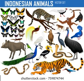 Animals of Indonesia and Indochina - vector set