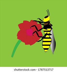 animals insect bee pollinating a flower scientific name of anthophila vector ilustration