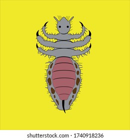 animals insect louse scientific name phthiraptera the louse parasitic animal louse blood suck vector ilustration