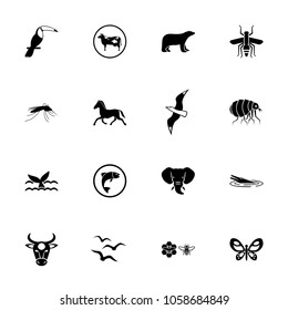 Animals and insects icon set. Can be used for topics like bird, fauna, wildlife, living organism