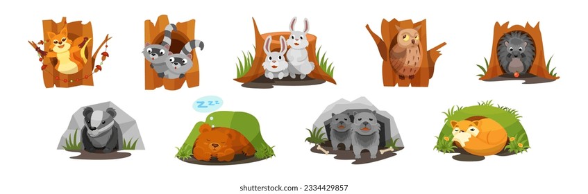 Animals Inside Their Burrow Living in Forest Vector Set