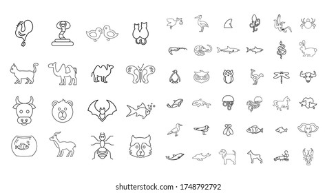 Animals line icon set. with birds and sea animals