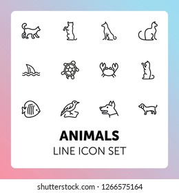 Animals line icon set. Cat, dog, shark, turtle. Nature concept. Can be used for topics like wildlife, pets, sea life