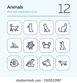 Animals line icon set. Cat, dog, shark, turtle. Nature concept. Can be used for topics like wildlife, pets, sea life