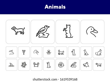 Animals line icon set. Cat, dog, shark, turtle. Nature concept. Can be used for topics like wildlife, pets, sea life