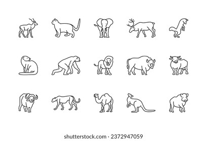 Animals linear vector icons. Animal world. Gazelle, cat, elephant, deer, fox, mustang, monkey, lion, bison, cow, buffalo, cheetah and much more. Isolated outline of animals on a white background.