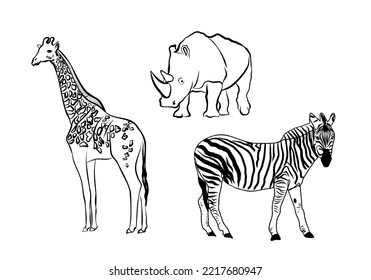 Animals linear vector illustration. Isolated on white background. Zebra, giraffe, rhinoceros outline. zebra, giraffe, rhinoceros one line logo.