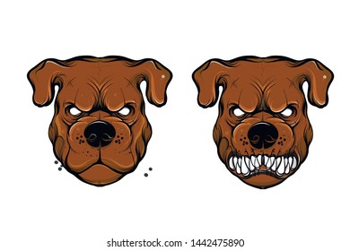 animals lions tigers dogs color illustrations vector graphics
