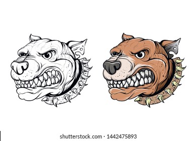 animals lions tigers dogs color illustrations vector graphics
