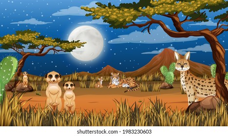 Animals live in desert forest landscape at night scene illustration