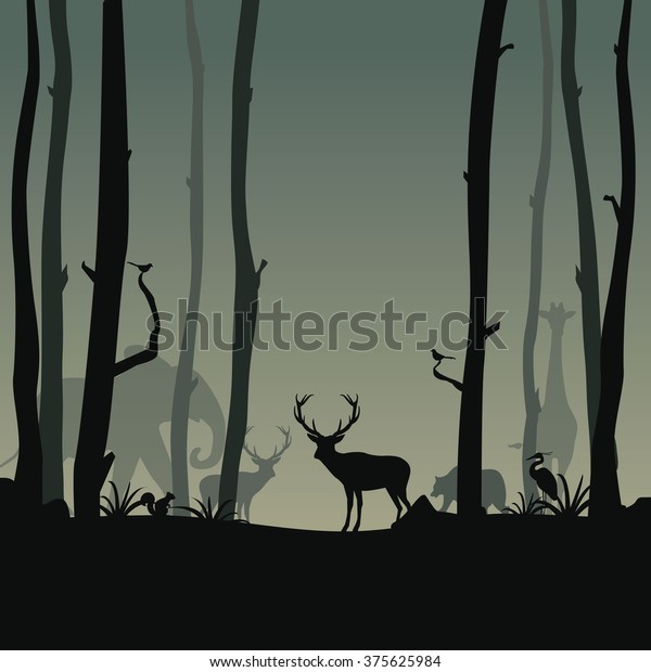 Animals Live Forest Night Background: vector de stock (libre de