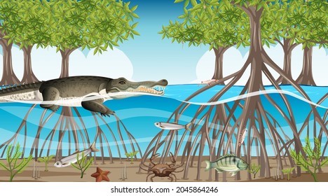 Animals live in Mangrove forest at daytime scene illustration
