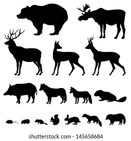 Animals living in european forest. Vector icon set of silhouette.