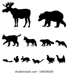 Animals living in taiga. Vector set of silhouette isolated on white background.