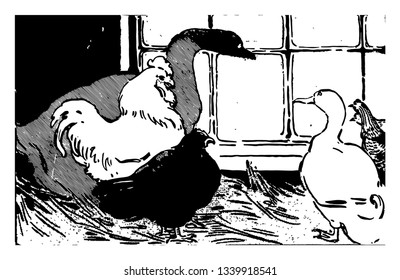 Animals Making the Best of It this scene shows some birds gathering for meeting and discussing something vintage line drawing or engraving illustration 