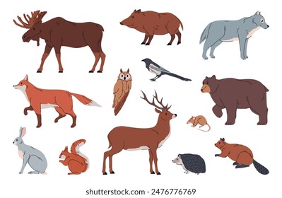 Animales y mamíferos de bosques y bosques. Vector rata aislada, alce y ciervo, lobo y zorro, ardilla y castor, erizo y conejo, urraca y búho. Naturaleza fauna y biodiversidad, parque zoológico