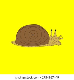 animals mollusks land snail scientific name helix aspersa garden snail vector ilustration 