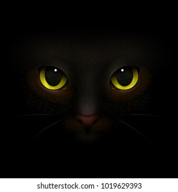 Animals monsters realistic composition with feline eyes and nose scary cats snout looking out of darkness vector illustration