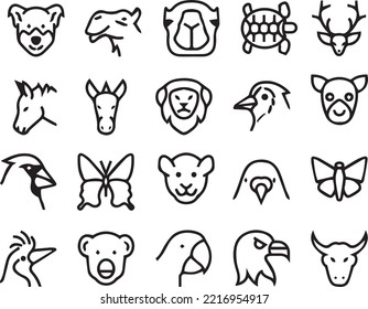  Animals are multicellular eukaryotes whose cells are bound together by collagen. Animals dominate human conceptions of life on Earth because of their size, diversity, abundance, and mobility. 