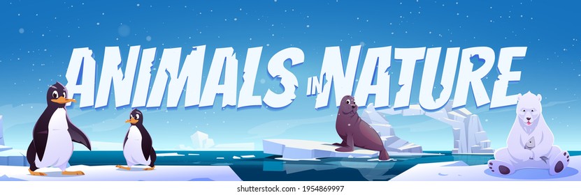 Pancarta de dibujos animados en la naturaleza. Pingüinos salvajes, oso polar y foca sentados sobre hielo flotan en el mar. Habitantes de la Antártida o del Polo Norte en la zona exterior, océano. Bebidas en el pie de página o encabezado del vector de fauna