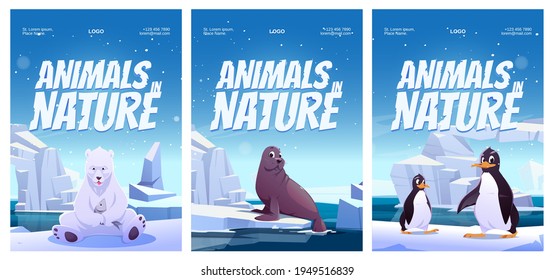 Animals in nature posters with penguin, polar bear and seal on floe. Vector flyers of zoo or natural park with cartoon illustration of wild animals of Antarctica, North pole and Alaska