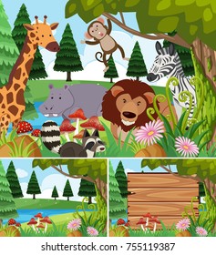 Animals in nature scenes