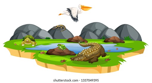 Animals near pond scene illustration