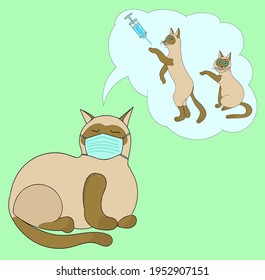 Animals need vaccination. A cat dreams of being vaccinated against the covid-19 virus