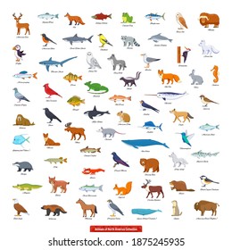 Animals North America Collection Cartoon Style Stock Vector (Royalty ...