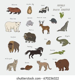 animals of north america doodle hand drawn vector illustrations set