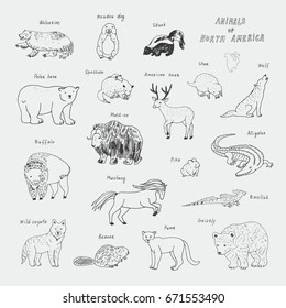 animals of north america doodle hand drawn vector illustrations set