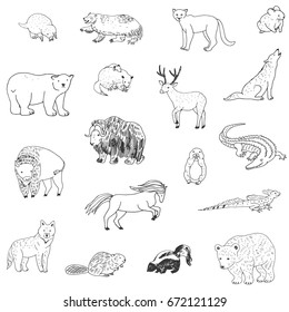 animals of north america doodle hand drawn vector seamless pattern