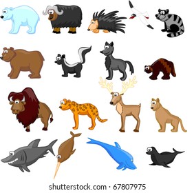 Animals of North America, including grizzly bears, caribou, polar bears, raccoons, bison, porcupine, mountain lion, coyote, skunk, wolverine, seals, jaguar, dolphin, shark, bowhead whale eps 10