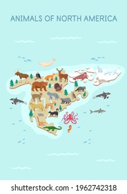 Animals of North America map: fox, wolf, bear, deer, elk, skunk, lynx, opossum, owl, coyote, cougar, raccoon, bald eagle, badger,  nasua, turkey on a white background.Flat cartoon illustration 