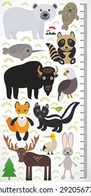 Animals of North America - narwhal polar bear fur seal raccoon skunk fox eagle bison elk gannet hare. Children height meter wall sticker Vector