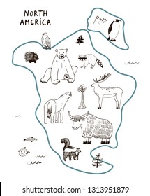 Animals of North America vector illustrations line hand drawn set