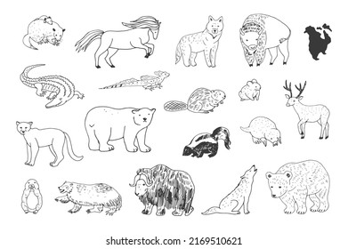 Animals of North America vector illustrations set