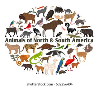 Animals of North and South America